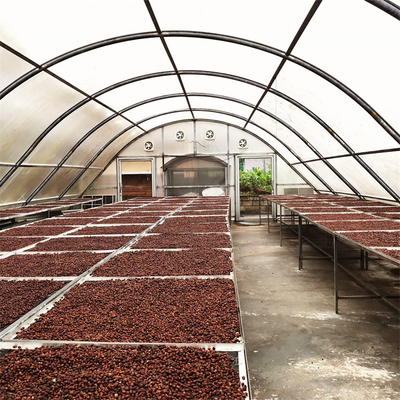 Estructura estable Invernadero de secado de vegetales y hierbas con tecnología de ventilación avanzada
