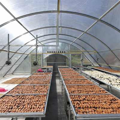 Estructura estable Invernadero de secado de vegetales y hierbas con tecnología de ventilación avanzada