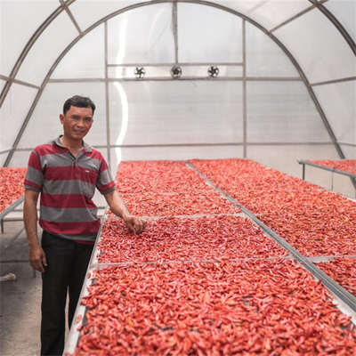 Estructura estable Invernadero de secado de vegetales y hierbas con tecnología de ventilación avanzada