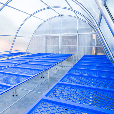 Estructura estable Invernadero de secado de vegetales y hierbas con tecnología de ventilación avanzada