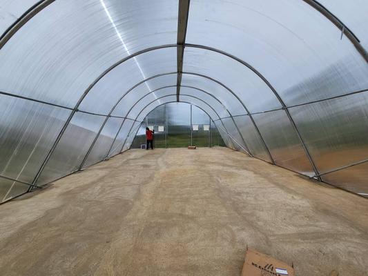 Invernadero de secado eficiente en energía con ventilación para el secado controlado de vegetales y hierbas
