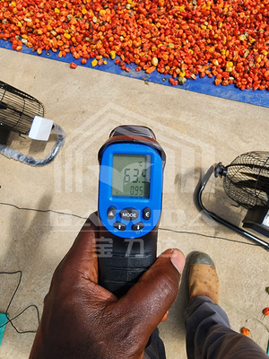 Invernadero de secado eficiente en energía con ventilación para el secado controlado de vegetales y hierbas