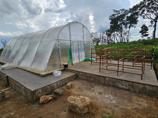 Ventilación avanzada y secado de paneles de PC invernadero para la conservación de verduras y hierbas