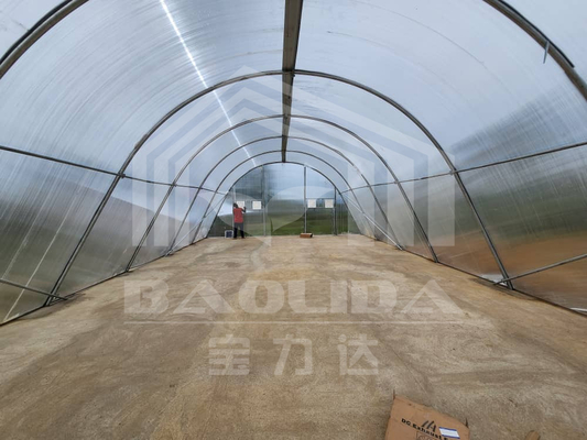 Invernadero de secado inteligente personalizable para verduras y frutas en un entorno controlado
