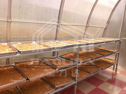 Ventilación avanzada y secado de paneles de PC invernadero para la conservación de verduras y hierbas