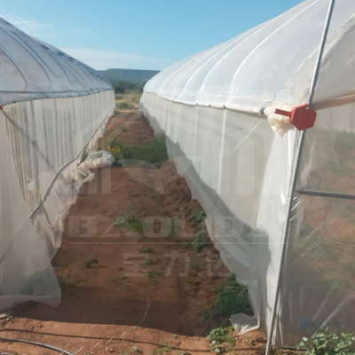 Invernadero galvanizado con túnel para una producción de verduras eficiente
