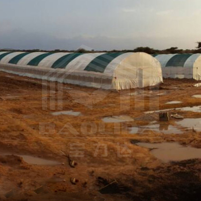 Invernadero galvanizado con túnel para una producción de verduras eficiente