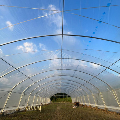 Invernadero de túnel multipropósito de 6x15m con transmisión de luz superior