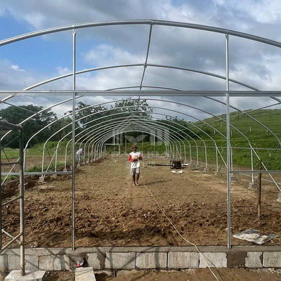 Invernadero de túnel multipropósito de 6x15m con transmisión de luz superior