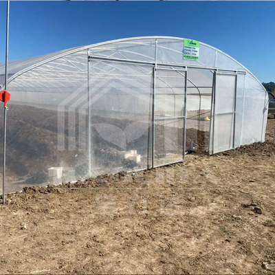 Invernadero de túnel económico con ventilación lateral para el crecimiento de las plantas