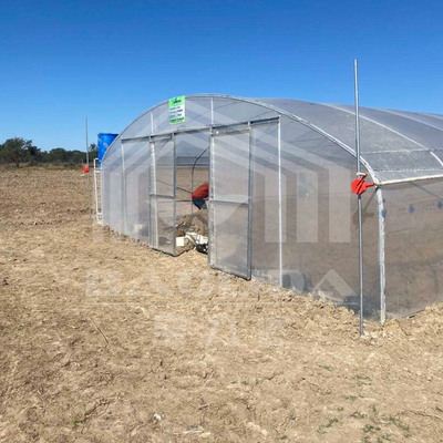Invernadero de túnel económico con ventilación lateral para el crecimiento de las plantas