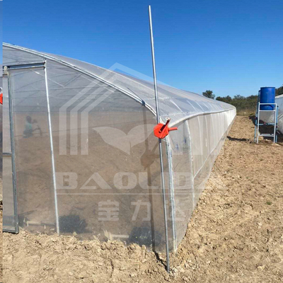 Invernadero de túnel económico con ventilación lateral para el crecimiento de las plantas