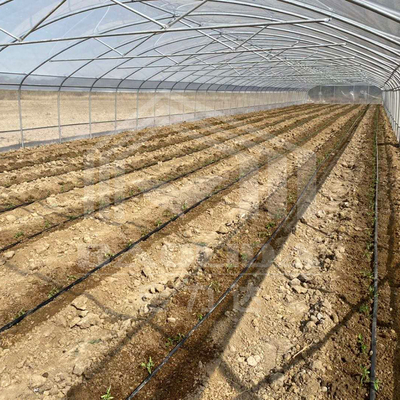 Invernadero de túnel económico con ventilación lateral para el crecimiento de las plantas