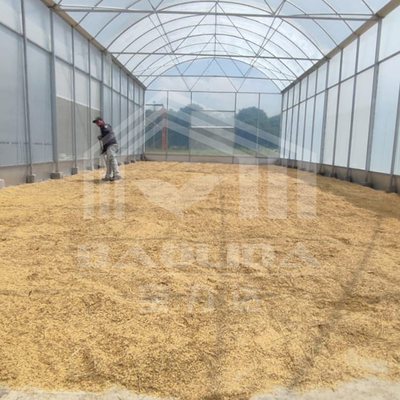 Invernadero de túnel alto con estructura de acero duradero para la agricultura