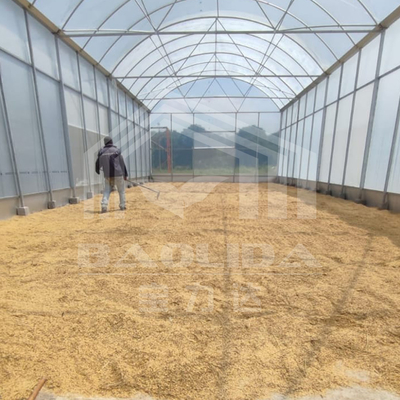 Invernadero de túnel alto con estructura de acero duradero para la agricultura
