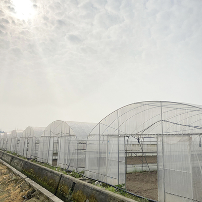 Invernadero de túnel de 6x15m para proyectos de cultivo de flores y verduras