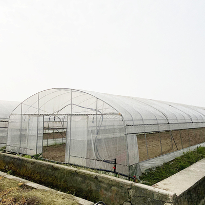 Invernadero de túnel de 6x15m para proyectos de cultivo de flores y verduras