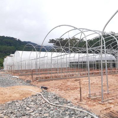 Invernadero galvanizado con aislamiento óptimo