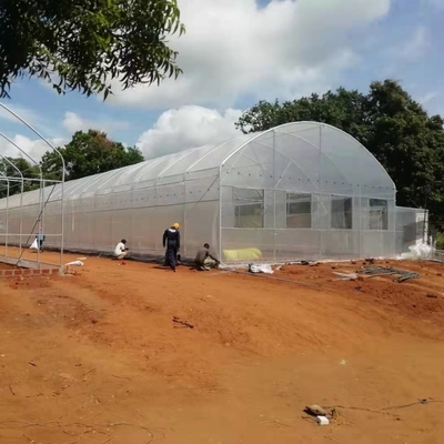 Invernadero de túnel alto práctico para soluciones agrícolas