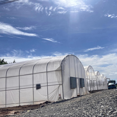 Invernadero de túnel alto práctico para soluciones agrícolas