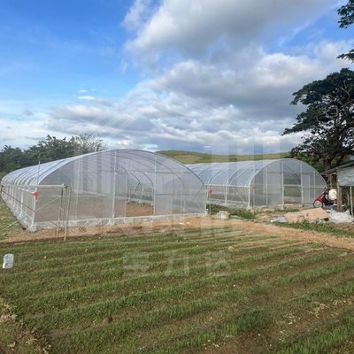 Invernadero de túnel de acero resistente a la oxidación para la agricultura durante todo el año