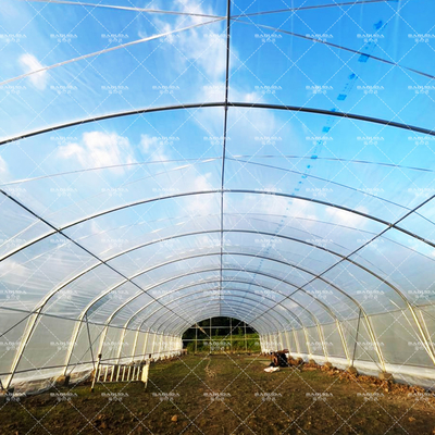 Invernadero de túnel rentable con cubierta de PE para verduras y flores