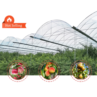 Invernadero profesional de túnel de hongos de frutas con película y material de cubierta de red de sombra