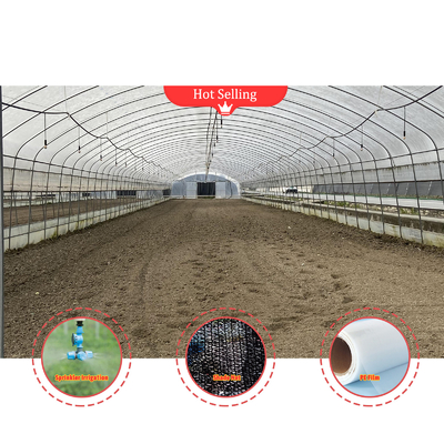 Plantación de hongo vegetal Invernadero de sombreado con cubierta blanca negra y red de sombreado de película