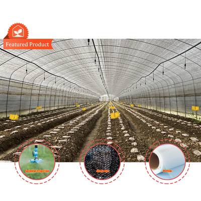 Serre Gewachshaus Sklenik Serra Invernadero Invernadero para el cultivo de hortalizas