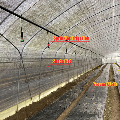 Invernadero agrícola para el cultivo de hongos con ventilación manual o eléctrica de rodadura personalizable