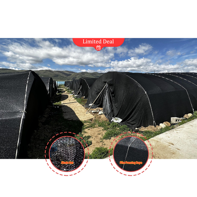 Alturas laterales de 1,2 a 1,8 m y espacio de arco de 1-1,5 m Fungos de túnel poli invernadero protegido contra los rayos UV