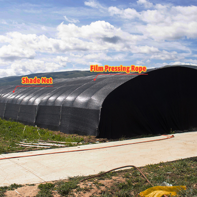 Ventilación manual o eléctrica de rodillo de arriba Polietileno agrícola cubierto con película de hongo Invernadero con estructura de acero galvanizado en caliente