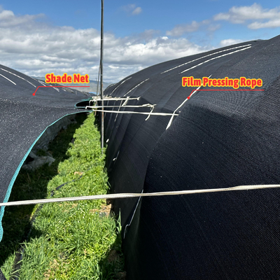 Cortina de apagón Casa verde Negro Invernaderos agrícolas Túnel para hongos