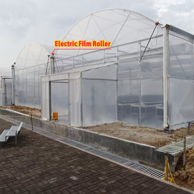 Casa de cultivo de flores y hortalizas Invernadero Quonset Hut Conservatorio Invernadero con alcantarillado Invernaderos grandes con ventilación en el techo