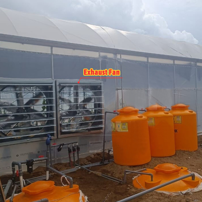 Casa de cultivo de flores y hortalizas Invernadero Quonset Hut Conservatorio Invernadero con alcantarillado Invernaderos grandes con ventilación en el techo