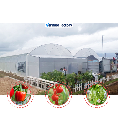 Casa de cultivo de flores y hortalizas Invernadero Quonset Hut Conservatorio Invernadero con alcantarillado Invernaderos grandes con ventilación en el techo