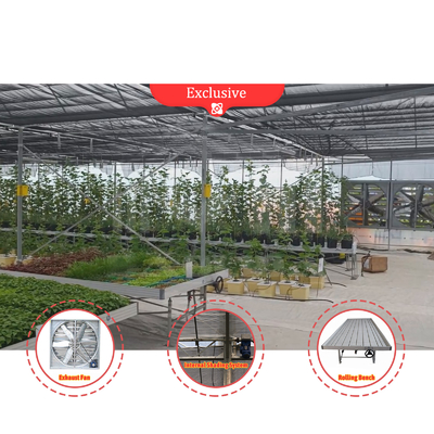 Casa de cultivo de flores y hortalizas Invernadero Quonset Hut Conservatorio Invernadero con alcantarillado Invernaderos grandes con ventilación en el techo
