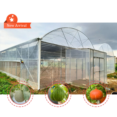 Casa de cultivo de flores y hortalizas Invernadero Quonset Hut Conservatorio Invernadero con alcantarillado Invernaderos grandes con ventilación en el techo