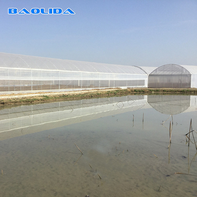 Estufa de película de plástico de 8 a 60 m de longitud para la agricultura y la producción de flores