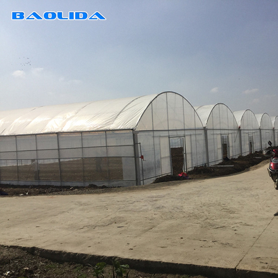 Estufa de película de plástico de 8 a 60 m de longitud para la agricultura y la producción de flores