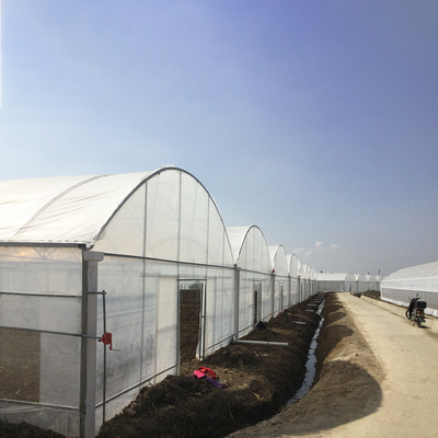 Estufa de película de plástico de 8 a 60 m de longitud para la agricultura y la producción de flores