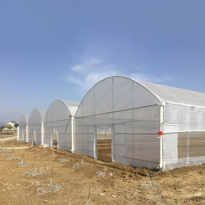 Estufa de película de plástico de 8 a 60 m de longitud para la agricultura y la producción de flores