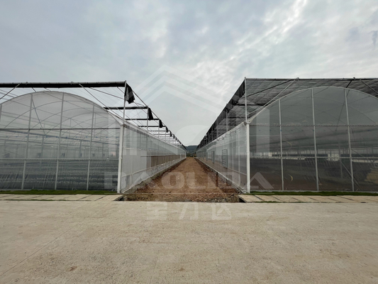 Baolida Alto túnel Película de plástico Multi Span Casa de invernadero tropical Ventilación lateral Agricultura Invernadero con sistema de sombreado
