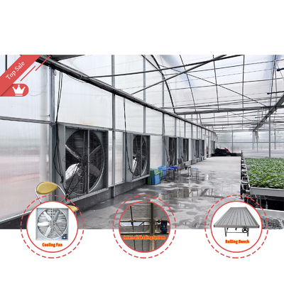 Planta impermeable con termostato Sistema de cultivo hidropónico Túneles invernaderos grandes para flores