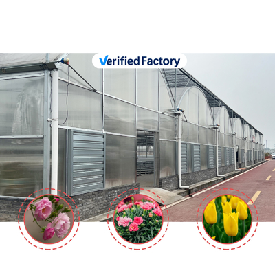Planta impermeable con termostato Sistema de cultivo hidropónico Túneles invernaderos grandes para flores