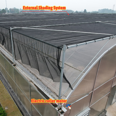 Planta impermeable con termostato Sistema de cultivo hidropónico Túneles invernaderos grandes para flores