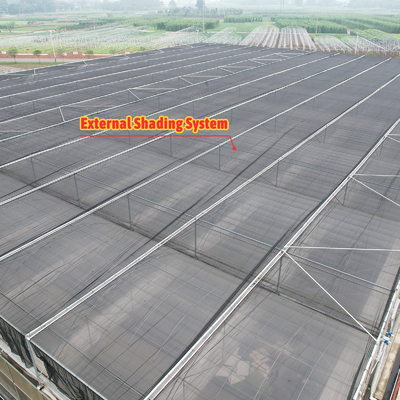 Planta impermeable con termostato Sistema de cultivo hidropónico Túneles invernaderos grandes para flores