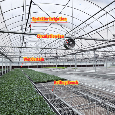 Planta impermeable con termostato Sistema de cultivo hidropónico Túneles invernaderos grandes para flores