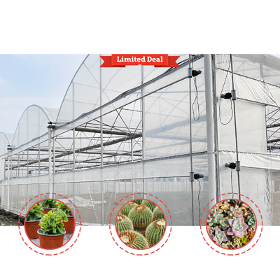 Solución de cultivo de hortalizas 8-60m Tamaño personalizable Invernadero de túnel agrícola con banco rodante y sistema de riego