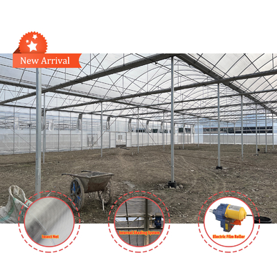Solución de cultivo de hortalizas 8-60m Tamaño personalizable Invernadero de túnel agrícola con banco rodante y sistema de riego